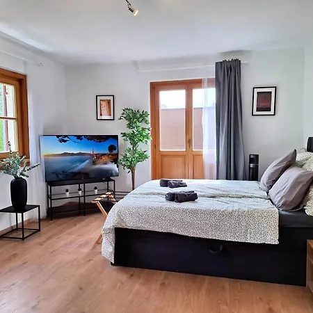 Family And Group Apartment Bregenz
