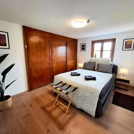 Family And Group Apartment Bregenz