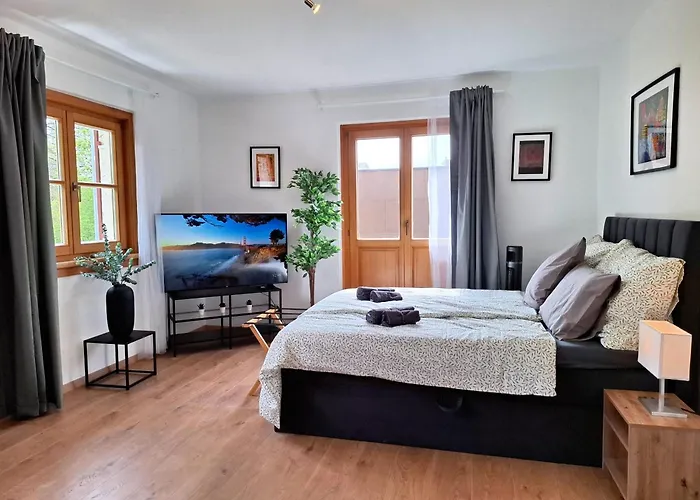 Family And Group Apartman Bregenz